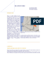 La industria del litio en chile Dra Ingrid Garcés UA.pdf