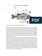 Sistem Pencernaan Vertebrata