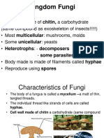6 Fungi