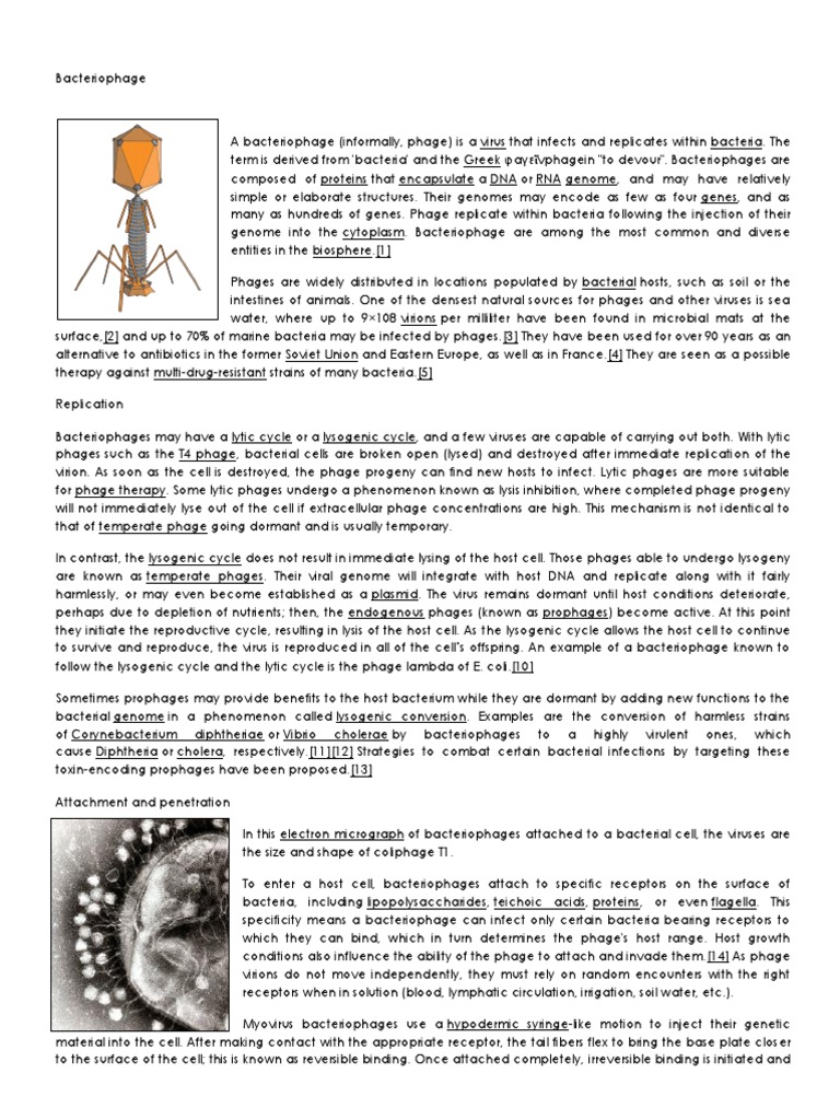 Understanding Bacteriophages: Types and Functions | PDF | Bacteriophage ...