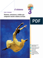 Anatomia de sistema Nervioso.pdf