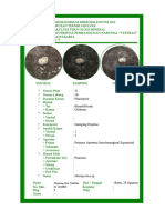 Hastigerina Dan Globorotalia G