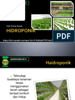 Hidroponik Agrophoria