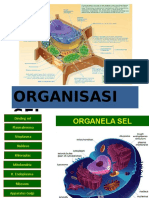 Full Organisasi Sel