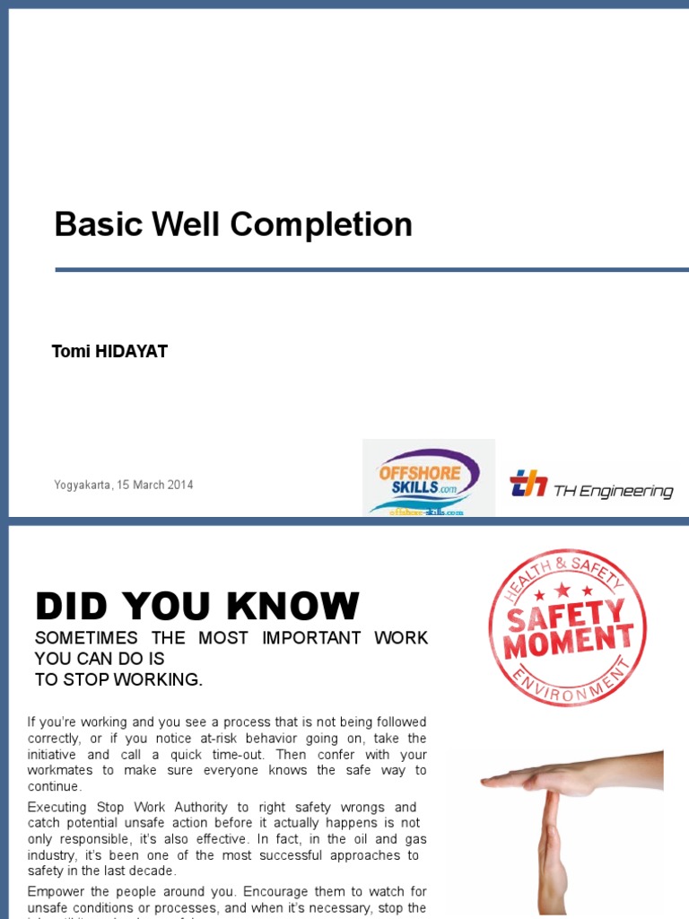 Essential Guide to Well Completion | PDF | Casing (Borehole) | Oil Well