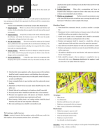 The Working Environment: Office Layout