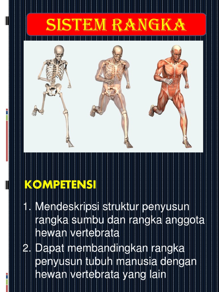 Struktur dan Fungsi Sistem Rangka | PDF