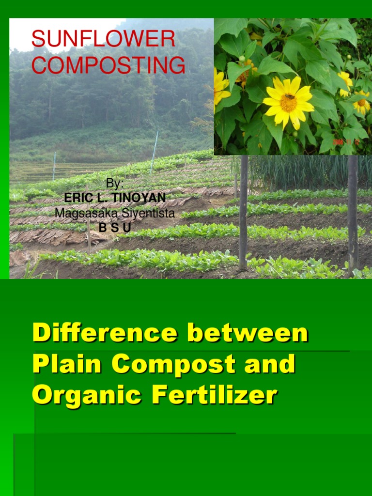Sunflower Composting: By: Magsasaka Siyentista | PDF | Fertilizer ...