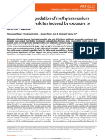 Accelerated Degradation of Methylammonium Lead Iodide Perovskites Induced by Exposure To Iodine Vapour