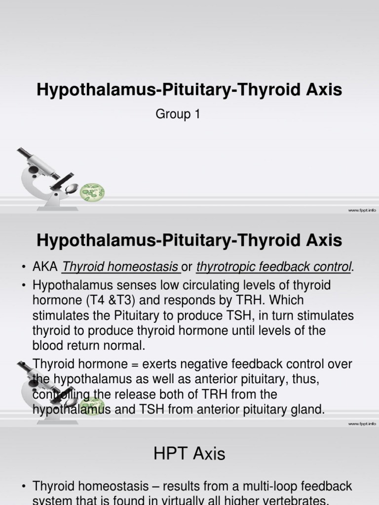 Hypothalamus Pituitary Thyroid Axis | PDF | Thyroid Stimulating Hormone ...