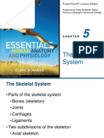 The Skeletal System: Powerpoint Lecture Slides