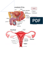 Alat Reproduksi