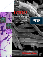 27 Anthrax Bacillus Antrhacis