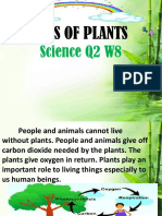 Plants Grade 3