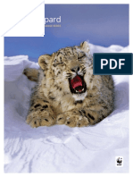 WWF Climate Assessment Snow Leopard Web