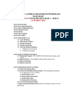 Format Laporan Praktikum Petrologi Bab 1-3