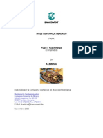 Investigación de Mercado Pulpo y Huachinango en Alemania 2007