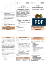 Triptico Plaguicidas PDF