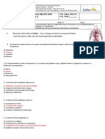 Prueba de Ciencias Quinto Año, Sistema Circulatorio Pauta