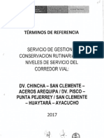 TDR Reformulados CP 37 2017 Ayacucho PDF