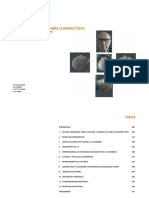 Articulos Sobre Clorindo Testa PDF