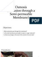Osmosis (Diffusion Through A Semi-Permeable Membrane)