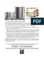 V01 - Light Beyond The Trees