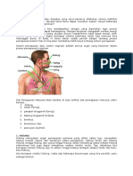 Bernapas Adalah Salah Satu Kegiatan Yang Terus