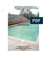 Albañiles Objetivos PDF