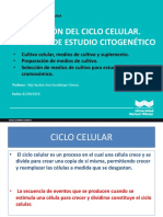 Sesion 3 Citogenetica Humana 2019 II