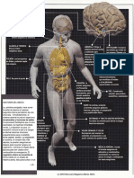 anatomy-of-fear.pdf