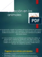 Excreción en Los Animales