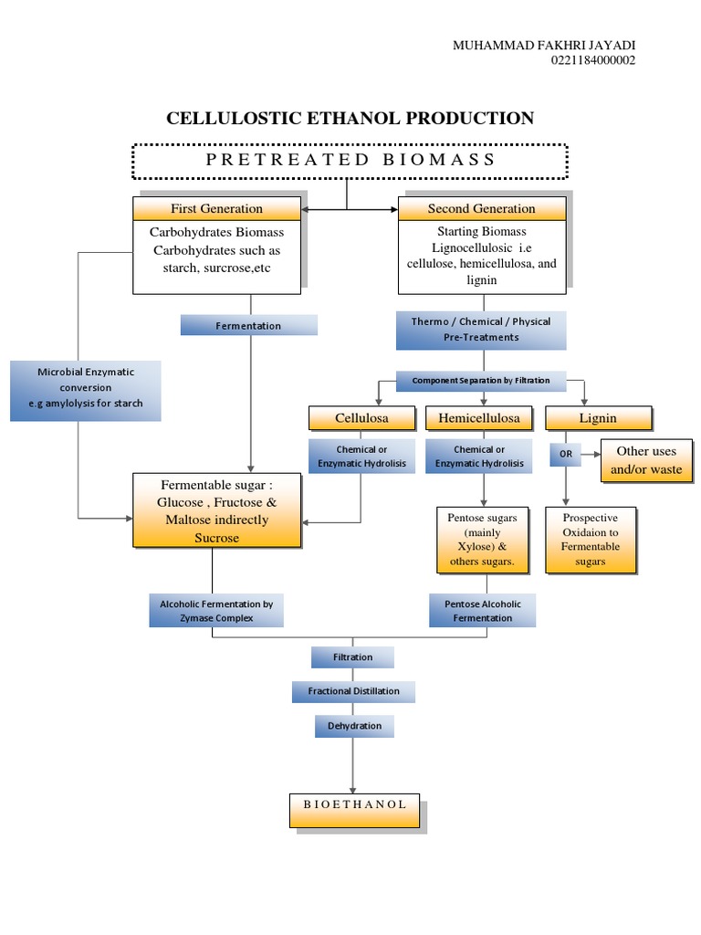 Cellulosic Ethanol Production Guide | PDF | Cellulosic Ethanol ...