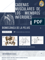 Cadenas Musculares de Los Miembros Inferiores