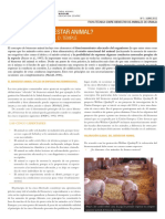 Bienestar Animal PDF