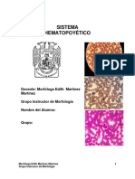 Morfologia Del Sistema Hematopoyetico PDF