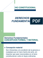 Tema 5 Los Derechos Fundamentales