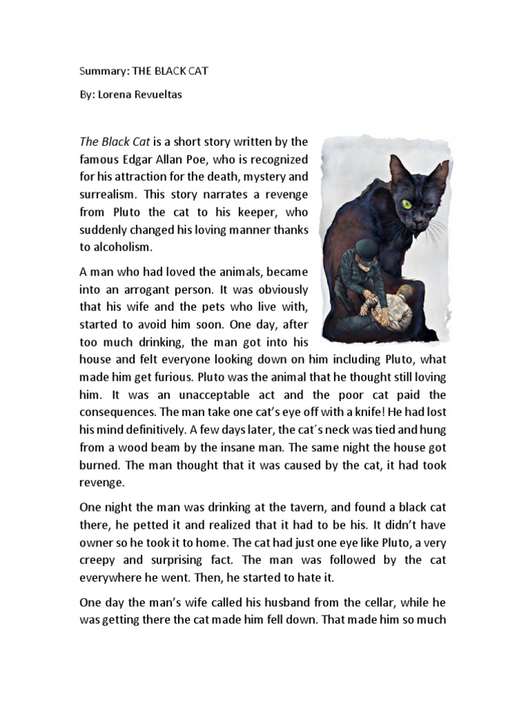 the black cat story essay