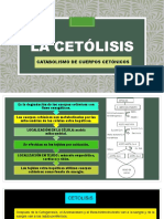 La Cetólisis