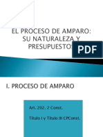 Tema 8 El Proceso de Amparo