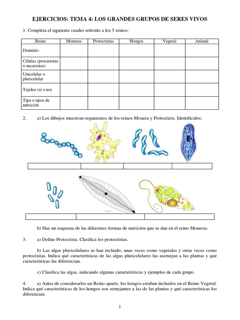 Ejercicios 1 Tema 4 PDF | PDF | Plantas | Algas