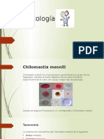 Parasitología: Chilomastix mesnili