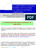 Raíces y tubérculos en el Perú y el mundo: origen, zonas de producción y valor nutritivo