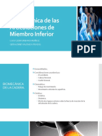 Biomecánica de Las Articulaciones de Miembro Inferior.