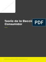 Teoría de La Elección Del Consumidor