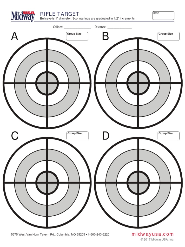 Rifle Target PDF | PDF