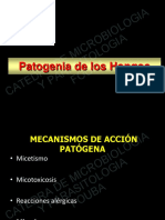 5.3 Patogenia Micotica PDF