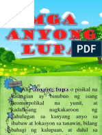 ANYONG LUPA-Powerpoint