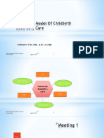 Routemap Model of Childbirth Midwifery Care