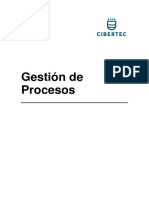 306818417 Manual de Gestion de Procesos Cibertec